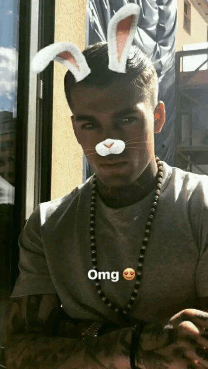 Vr8017.gif