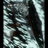 W0sq91