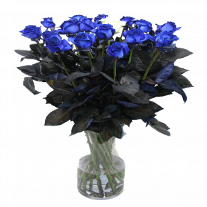 W18krQ.png