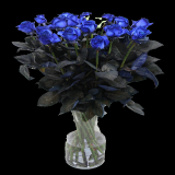 W18krQ