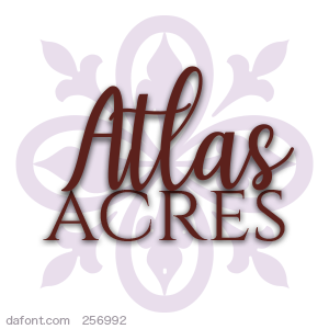 W1OXKx.png