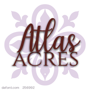W1Orle.png