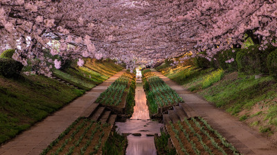 Ultra HD 4K Computer background image 090 VGY2pOC UHD Desktop Wallpaper