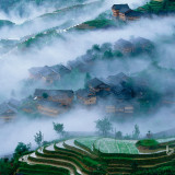 WEHAri