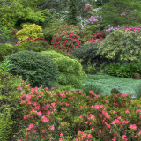 WELhZz