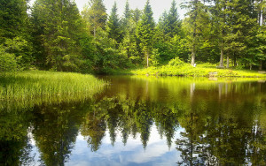 WESKP7.jpg