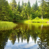 WESKP7