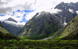 WEYnwH.jpg