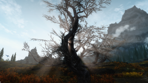 WJ5027.png