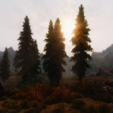 WJ5e7v