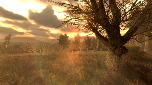 WJD58C.png