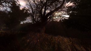 WJDE02.png