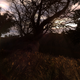 WJDE02