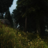 WJGf9P