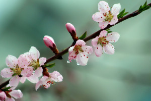 WJMrDc.jpg