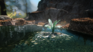 nirnroot 32520611195 o