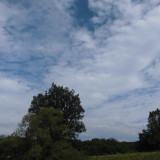 WJoIoc