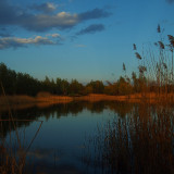 WJux6M