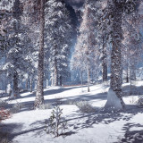 WJvgbx