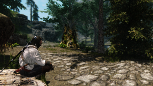 skyrim beauty 24931957524 o