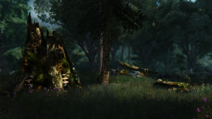 skyrim national geographic sparrow enb 32047573053 o