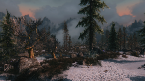 sparrow enb random place test 27505319015 o