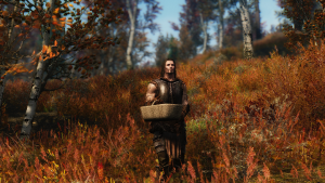 sparrow enb test 21773441593 o