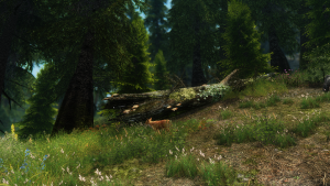 testing sparrow enb 22967170982 o