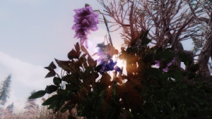 testing sparrow enb 0272 19195464922 o