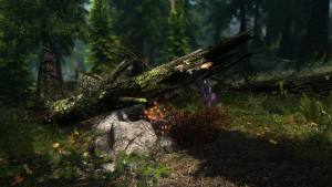 testing sparrow enb 0279 19272098743 o