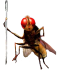 WZOqak.png
