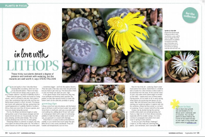 Gardening Australia September 2017 (4)
