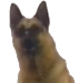 WotEwM.png