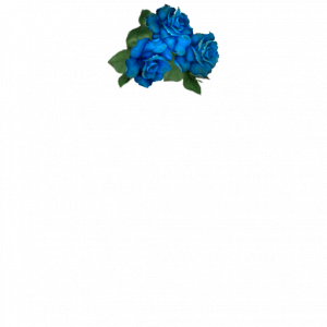 WrNBrZ.png