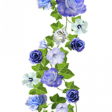 WrgWmP