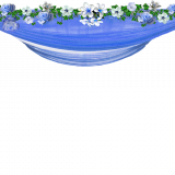 Wrgium
