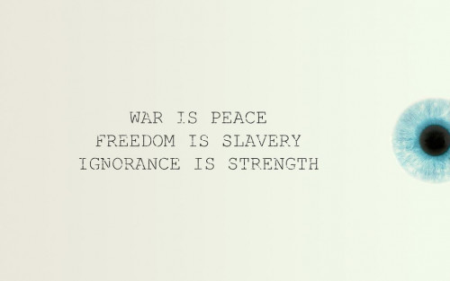 XBvz.jpg