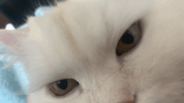 Y9Ws2a.gif