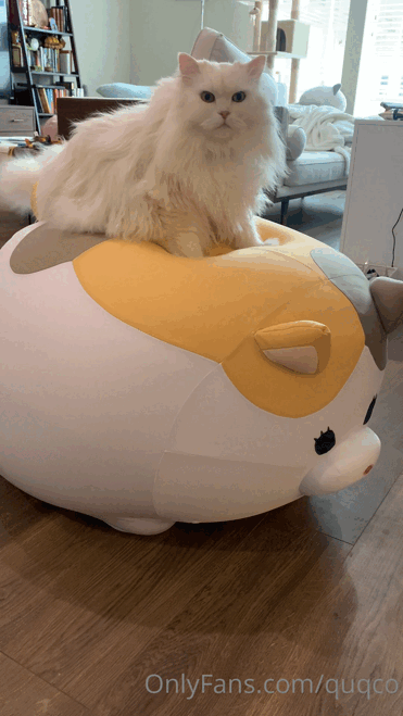 Y9iX3c.gif