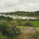 YevSH