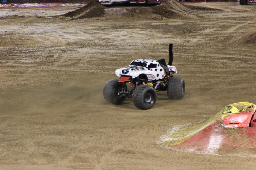 IMG 8181