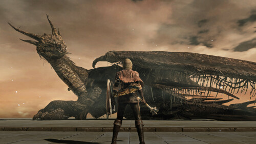 Dark Souls II Screenshot 2020.12.18 23.28.53.15
