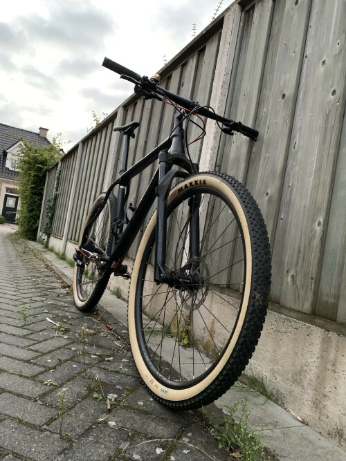 ZXv31v.jpg
