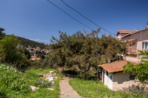 DSC03136