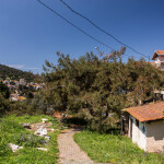 ZteNZQ