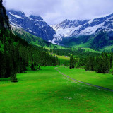 a8sY5