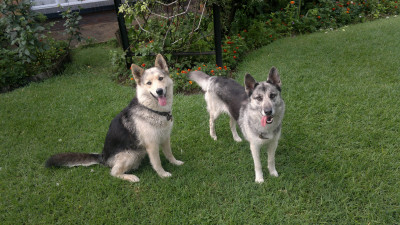 Truro & Hera (1)