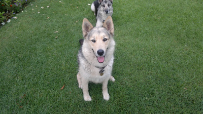 Truro & Hera (3)