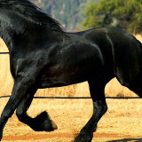 atw4T
