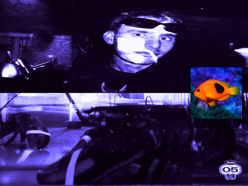 bXYHnD.png